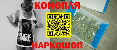 молекула духа Пугачёв