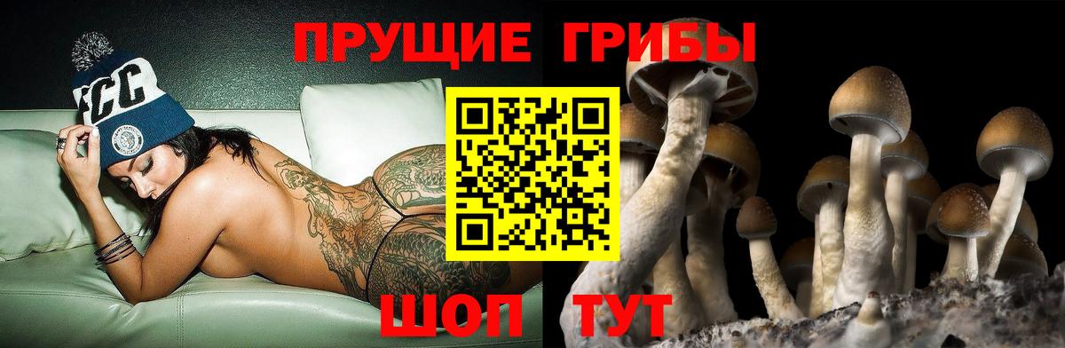 Галлюциногенные грибы GOLDEN TEACHER  Вход с VPN  Волоколамск 